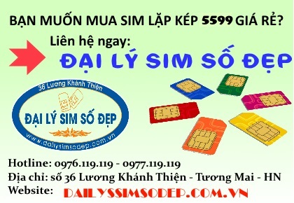 Mua sim lặp kép 5599 giá rẻ ở đâu