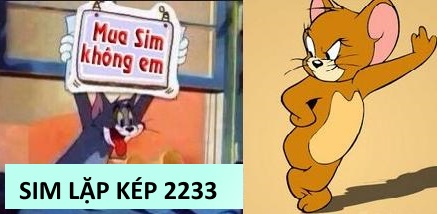 Mua sim lặp kép 2233 giá rẻ ở đâu