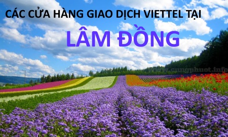 Các cửa hàng giao dịch Viettel tại Lâm Đồng bạn nên biết