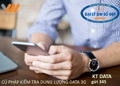 Cú pháp kiểm tra dung lượng data Vietnamobile