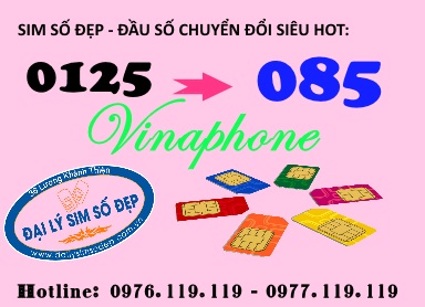 Mua sim Vinaphone đầu số 085 giá rẻ tại Đại lý sim số đẹp
