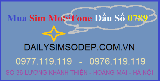 sim mobi đầu 0789