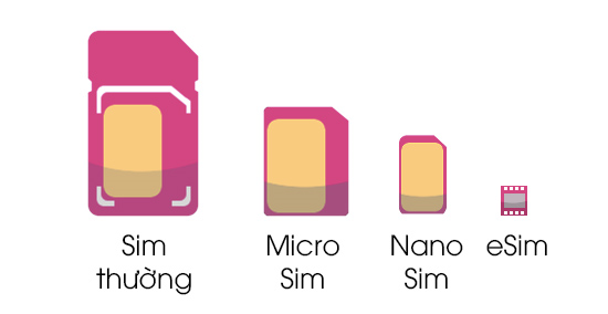 kích thước của các sim