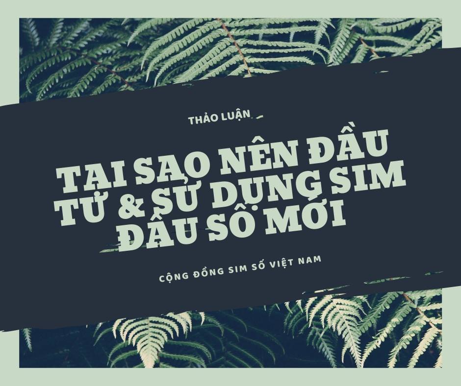 Tại sao nên đầu tư và sử dụng sim đầu số mới ?