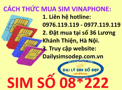Các cách mua sim 08*222 tại Đại lý sim số đẹp