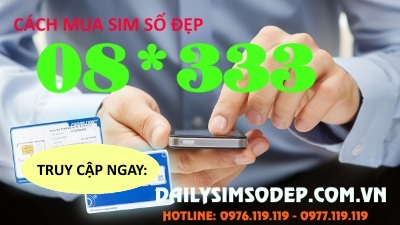 Mua sim số đẹp 08*333 tại Dailysimsodep.com.vn