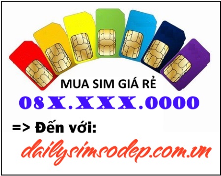 Sim số đẹp Vinaphone 08*0000