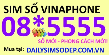 Sim số đẹp 08*5555