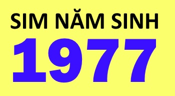 Sim năm sinh 1977 mang nhiều giá trị nổi bật