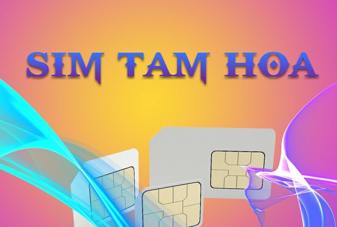 13 bật mí thú vị về sim tam hoa 8/10 người chưa biết
