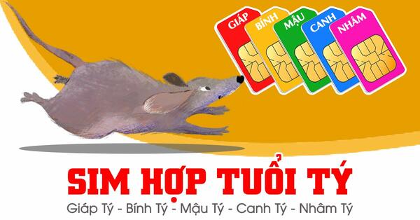 Cách chọn sim hợp tuổi Tý