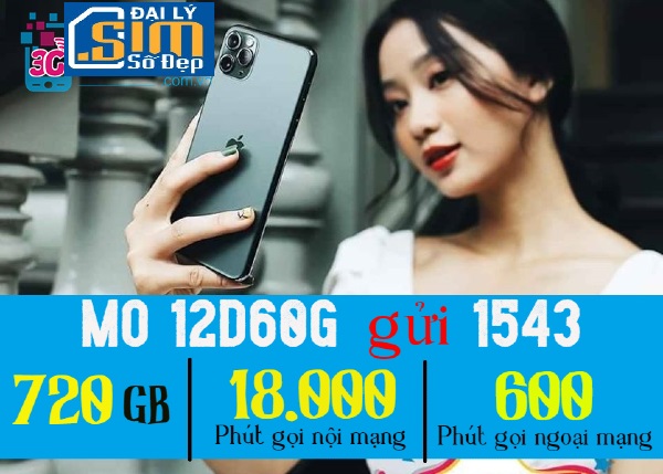 dang ky 12d60g 1 nam