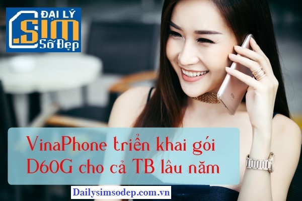 goi d60g vinaphone
