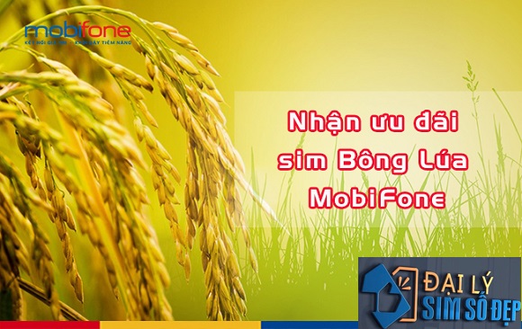 Nhận ưu đãi sim Bông Lúa MobiFone