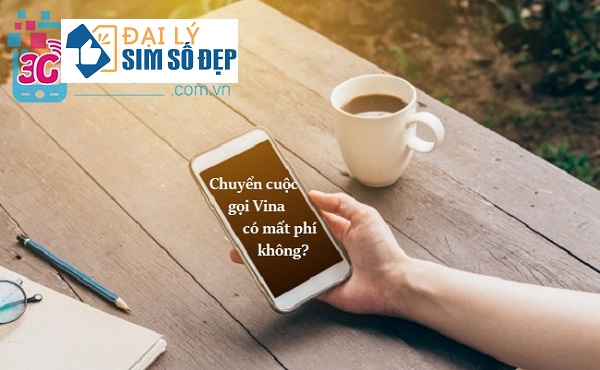 Cách tính cước phí liên lạc khi chuyển cuộc gọi VinaPhone