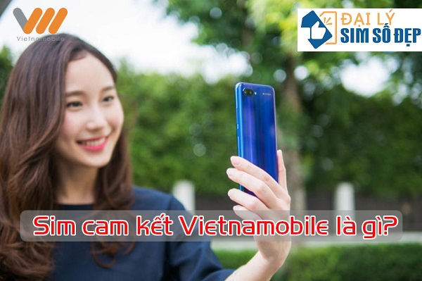 Sim cam kết Vietnamobile là gì
