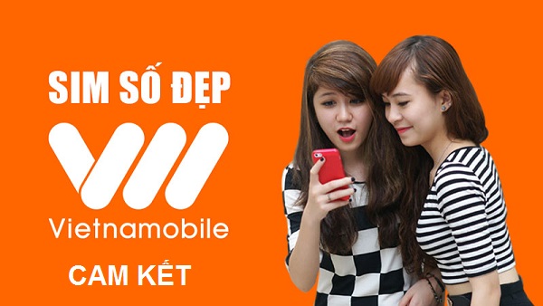 Kiểm tra cam kết Vietnamobile