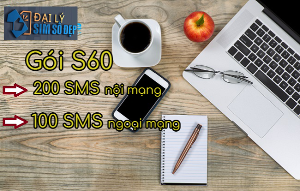 đăng ký gói S60 VinaPhone
