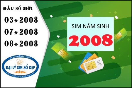 sim nam sinh 2008