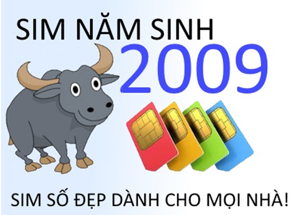 sim năm sinh 2009