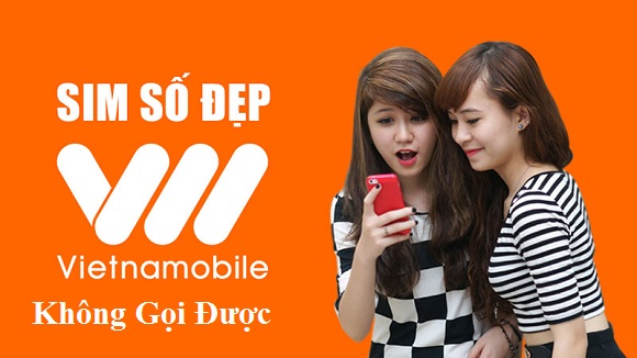 sim Vietnamobile mới mua không gọi được