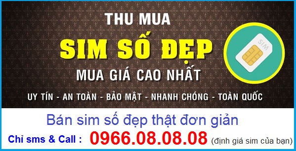 thu mua sim số đẹp