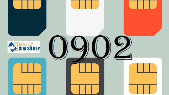 Cách chọn mua SIM đầu số 0902 với người có thu nhập thấp