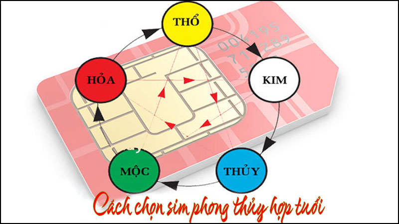 Đảm bảo tính cân bằng âm dương