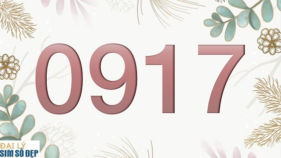 Đầu số 0917 là của nhà mạng VinaPhone