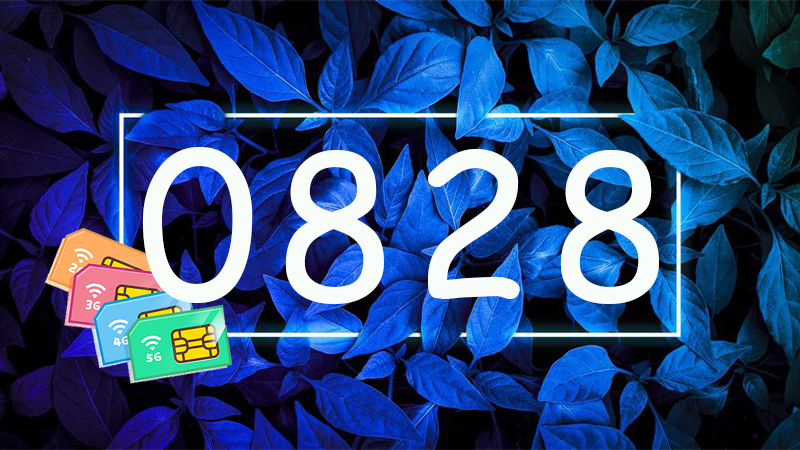 đầu số 0828