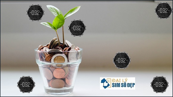 Đầu số 092 mang một ý nghĩa đặc biệt về phong thủy