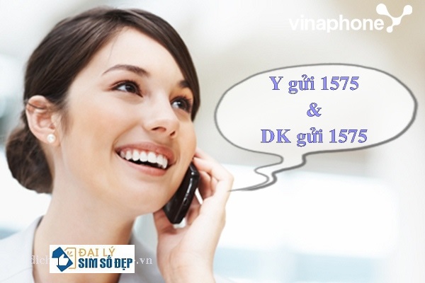 dich-vu-ung-ngay-vinaphone