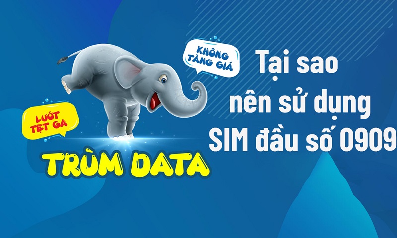 Nên mua SIM có đầu số 0909 ở đâu?