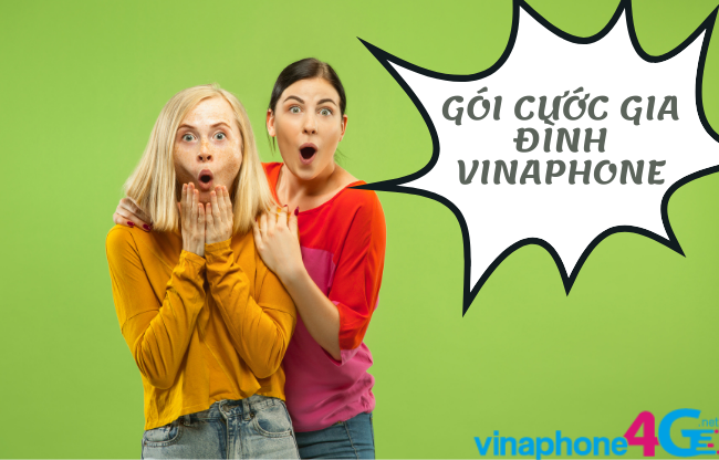 goi cuoc gia dinh cua vinaphone
